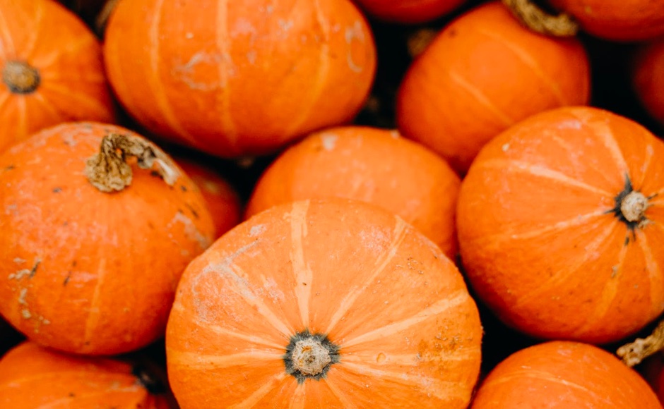 Roasted Pumpkin Seeds Wholesale and Consumer Suppliers